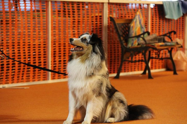 Billy Jean (Kiwi und Chester's Tochter)