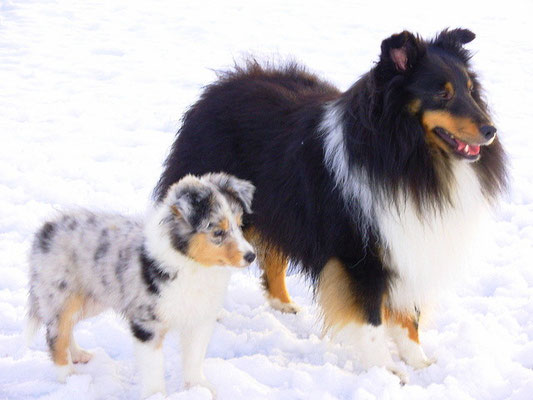 Kiwi and her father Shawnee