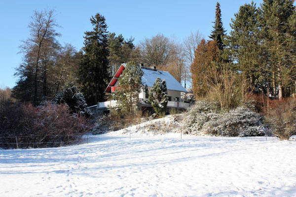 Milos Waldhaus - eine idylischer Ort für Ihre Weihnachtsfeier