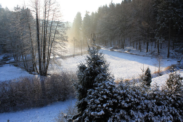 Winterstimmung im Mühltal