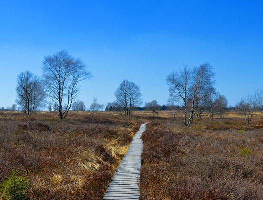 Hohes Venn (Foto: Marisa04)