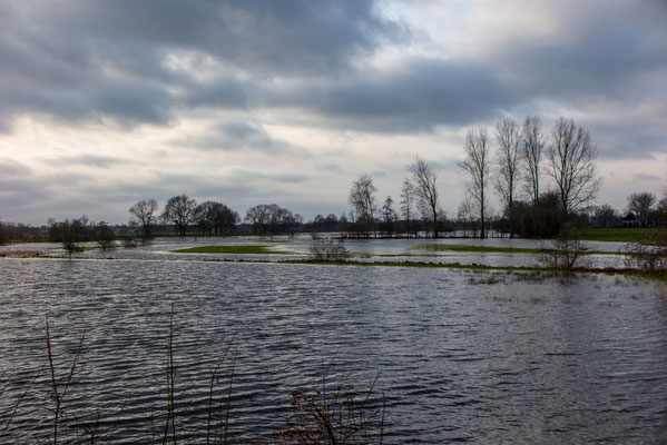 December 2017 - Het was een natte maand, hier is de Reest buiten zijn oevers getreden