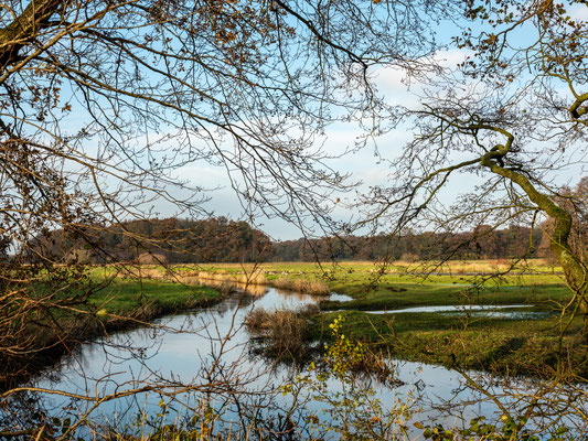 November 2019 - De bladeren zijn gevallen hetgeen ons een blik gunt op het landschap