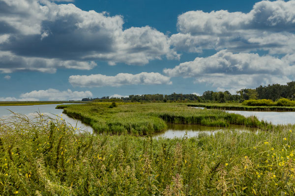 September 2021 - Hollandse luchten boven "Nederland"