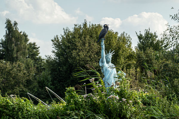 Augustus 2023 - Een Aalscholver is neergestreken op het vrijheidsbeeld in de Wieden