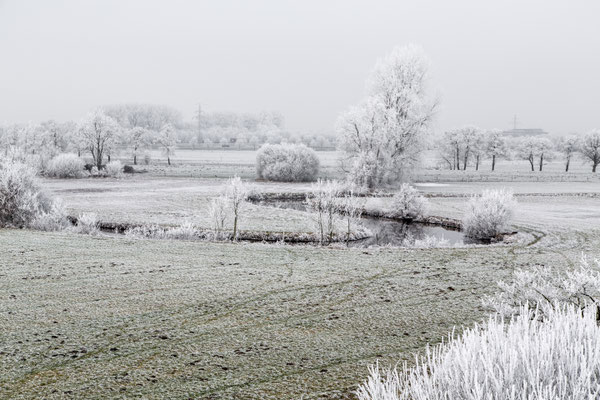 Januari 2017 - Het was natuurlijk de maand van de 'ruige rijp', hier in het reestdal