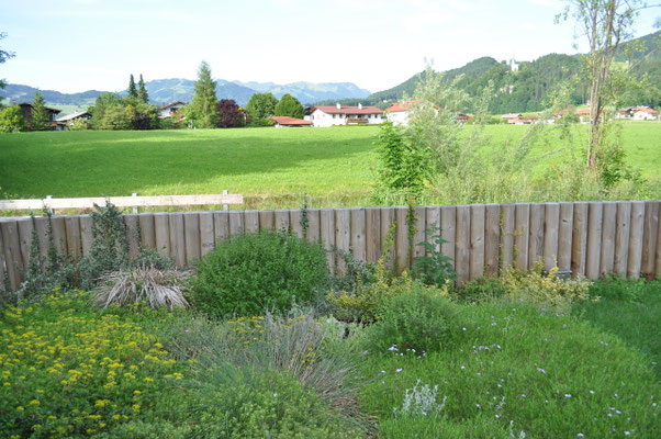 Palisadenzaun 