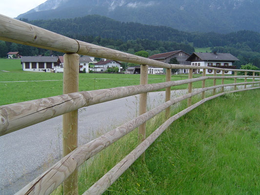 Zaun für Pferdekoppel