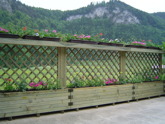 Pflanzkasten mit Rankgitter aus Holz