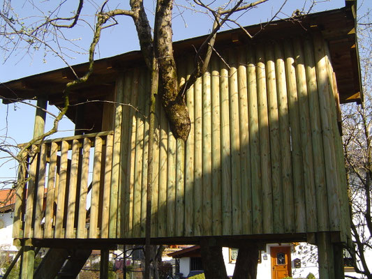Kesseldruckimprägniertes Holz für Baumhaus