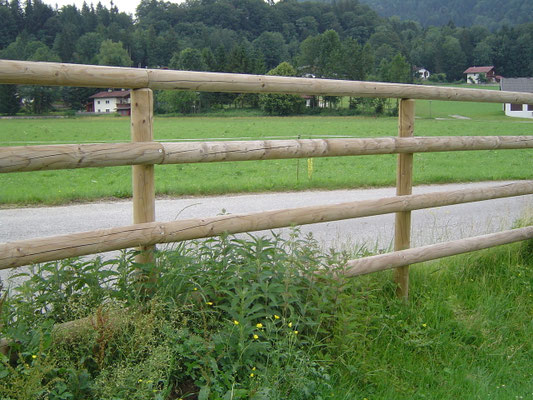Zaun für Pferdekoppel Tirol
