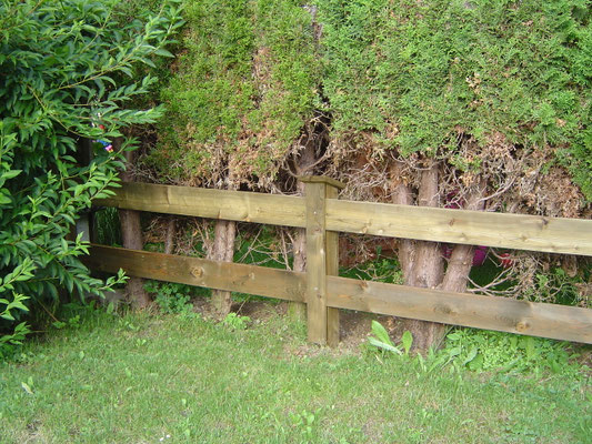 Bretterzaun vor Hecke