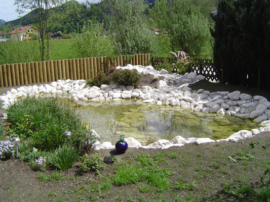 Teich mit Holz