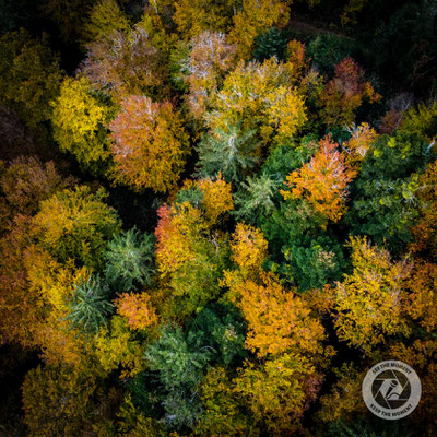 Herbst in Oberösterreich