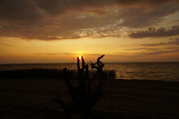 Sonnenuntergang Kurische Nehrung