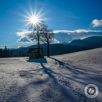 Winterlandschaft im Sonnenschein