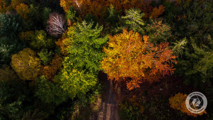 Herbst in OÖ