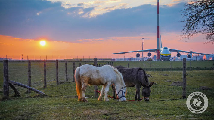 Airport-Idylle@LNZ