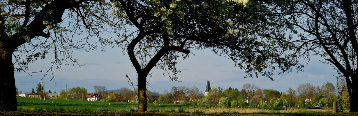 Blick vom Backhaus nach Oftering - Ende April 2022