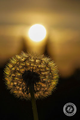 Abendstimmung