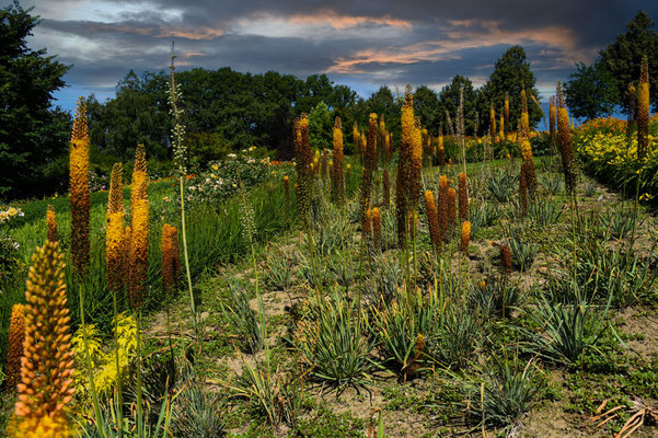 Garten der Geheimnisse