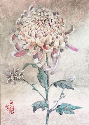 風雅　B5