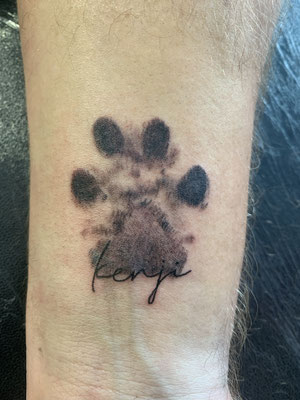 Kleine Tattoopfote – Walk-In Beispiel