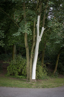 Beate Gärtner | Elas Zeichen | 2015 | Stammschutzfarbe | 600x110x60 cm |  Foto@Matthias Weber