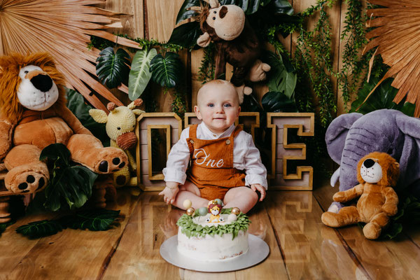 Cakesmash, Kuchenshooting,  erster Geburtstag, Gummersbach, Oberbergischer Kreis, die schönsten Kinderfotos, NRW, Löwe