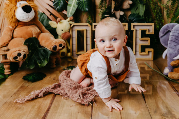 Cakesmash, Kuchenshooting,  erster Geburtstag, Gummersbach, Oberbergischer Kreis, die schönsten Kinderfotos, NRW, Löwe