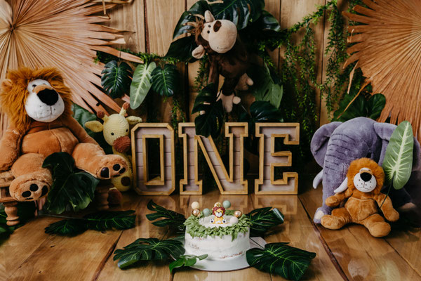 Cakesmash, Kuchenshooting,  erster Geburtstag, Gummersbach, Oberbergischer Kreis, die schönsten Kinderfotos, NRW, Löwe