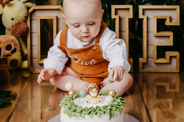 Cakesmash, Kuchenshooting,  erster Geburtstag, Gummersbach, Oberbergischer Kreis, die schönsten Kinderfotos, NRW, Löwe