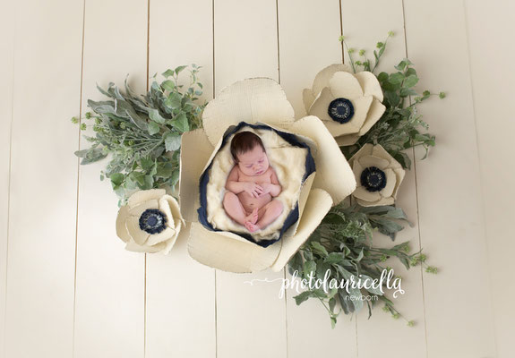 Babyfotos Gummersbach Engelskirchen Wiehl Oberbergischer Kreis Meinerzhagen Siegen Olpe Köln