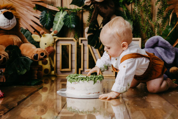 Cakesmash, Kuchenshooting,  erster Geburtstag, Gummersbach, Oberbergischer Kreis, die schönsten Kinderfotos, NRW, Löwe