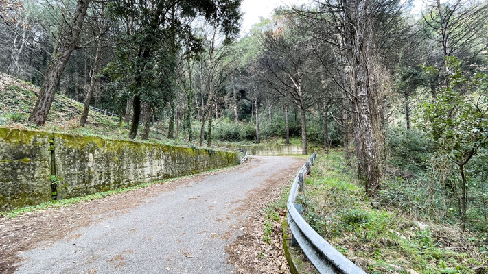 auf Weg Nr. 1 - La Valle dell'Inferno - den Vesuv hinauf. Erst auf Asphalt ...