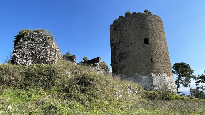 Schlossruine mit Wachturm