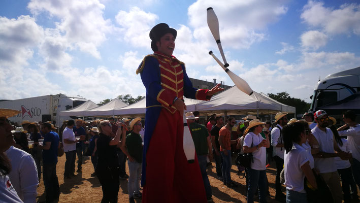 Circo, espectáculo de circo pequeño formato, eventos, fiestas, colegios, acrobacia, malabares., zancos, zancudos, el gigante de tus eventos, circo en altura