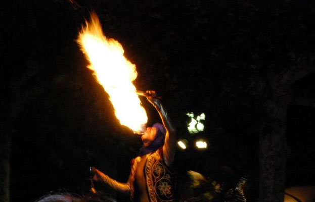 Circo, espectáculo de circo pequeño formato, eventos, fiestas, colegios, acrobacia, malabares., zancos, zancudos, el gigante de tus eventos, circo en altura
