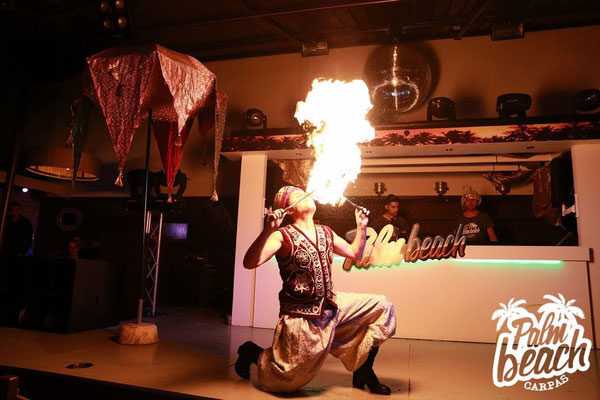 Circo, espectáculo de circo pequeño formato, eventos, fiestas, colegios, acrobacia, malabares., zancos, zancudos, el gigante de tus eventos, circo en altura