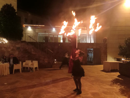 Circo, espectáculo de circo pequeño formato, eventos, fiestas, colegios, acrobacia, malabares., zancos, zancudos, el gigante de tus eventos, circo en altura