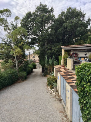 Entrée