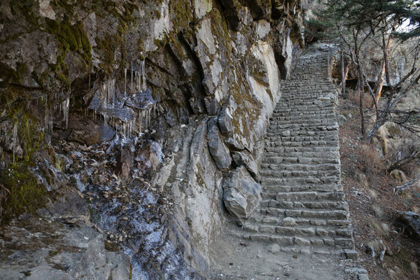 Abenteurer-Nepal-Solo-Khumbu-Trek-C980