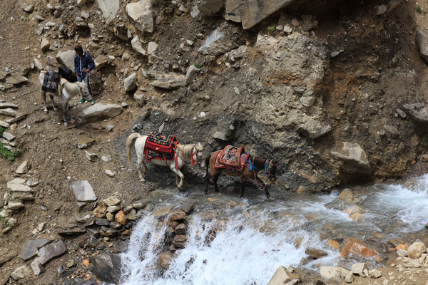 mit-Pferde-unterwegs-Upper-Mustang-Nepal-E099