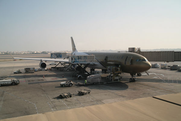 Flieger-Frankfurt-Mustang-Nepal-E435