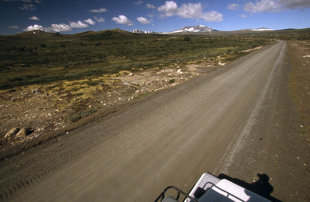 Nationalpark-Dovrefjell-One-Tour-Norwegen-Tour-H944