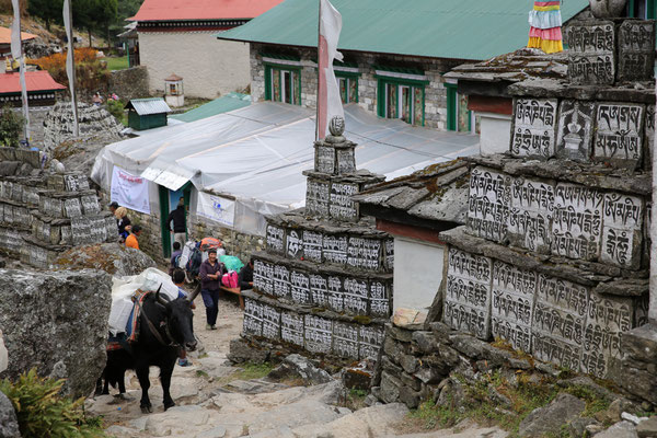 Solo-Khumbu-Trek-EBC-Everest-Region-Nepal-D216