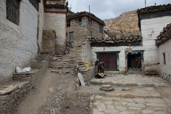 mit-Pferde-Upper-Mustang-Nepal-E055