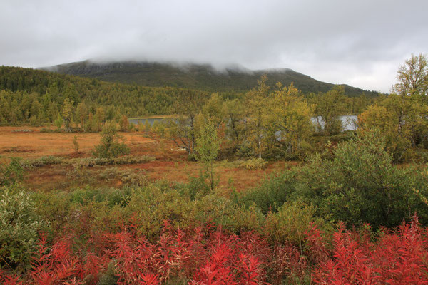 Norwegen-Juergen-Sedlmayr-Expedition-Adventure-C509