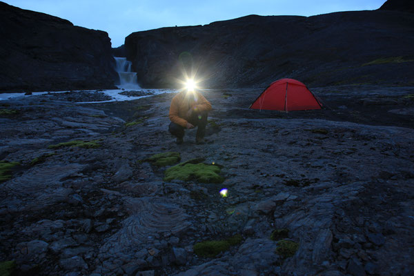 Stirnlampe-LEDLENSER-Island-Abenteurer-738