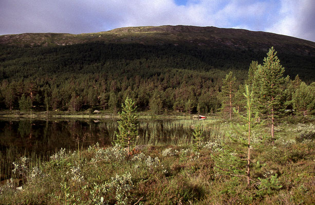 Juergen-Sedlmayr-Abenteurer-Norwegen-Tour-Unterwegs-H800